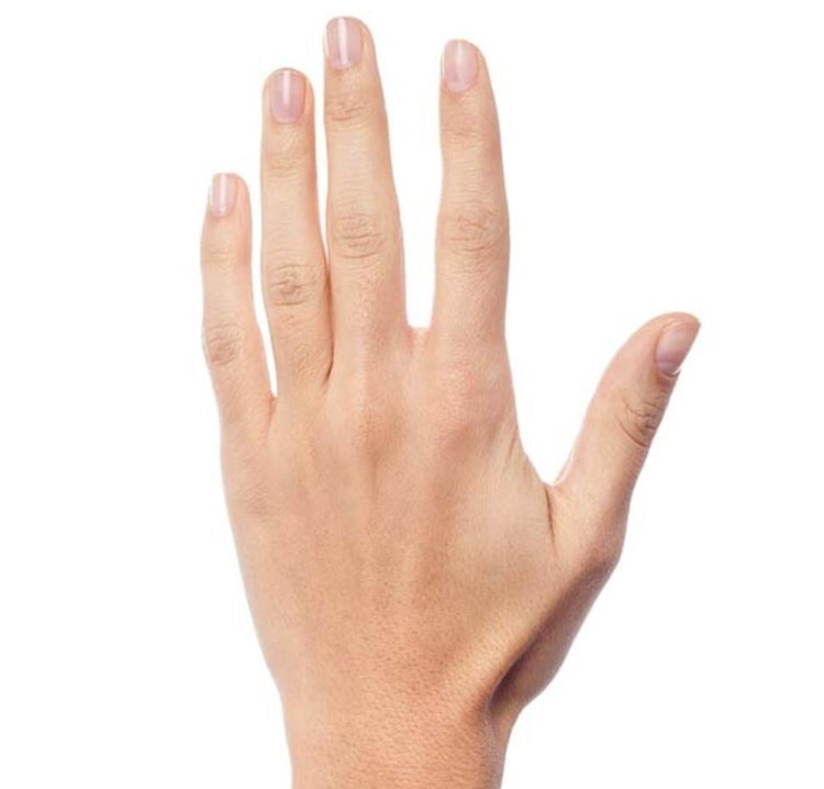 Krankheiten der Hand und Handgelenk - Op. Dr. Tolga Mertoğlu
